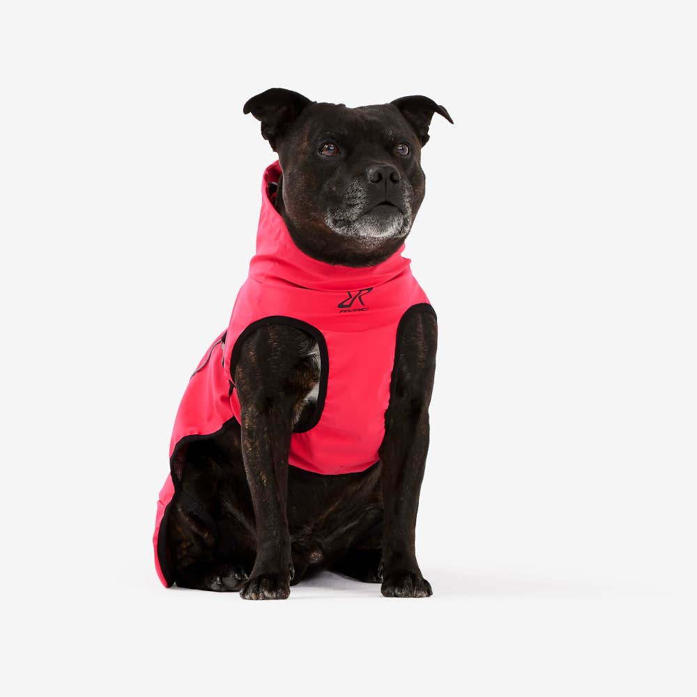 Cyclone Dog Jacket