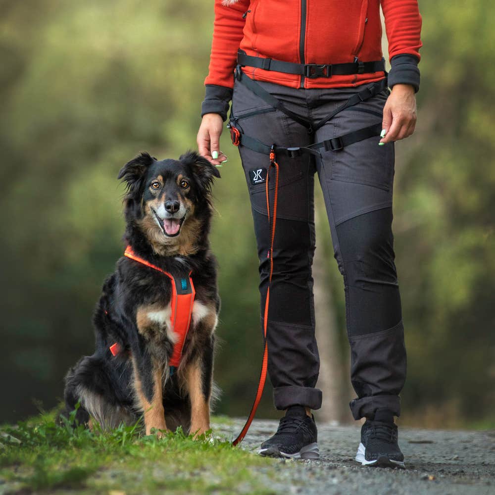 Nordwand Pro Trousers